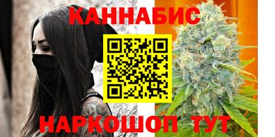 крисы Будённовск