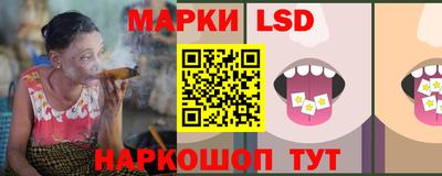 крисы Будённовск