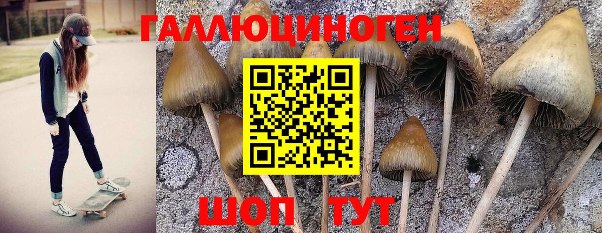 Галлюциногенные грибы Cubensis Южноуральск