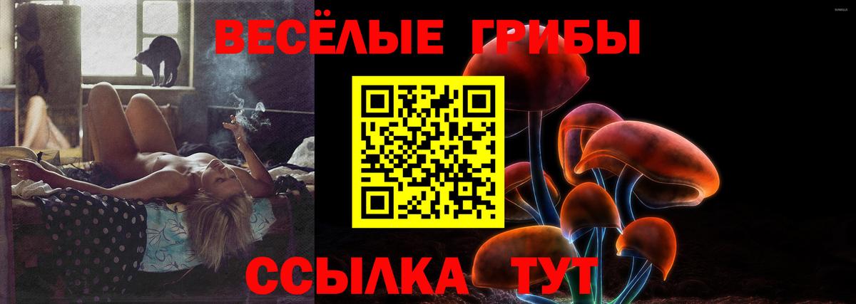 Галлюциногенные грибы Psilocybe  Галлюциногенные грибы прущие грибы  Южноуральск  Вход с VPN 